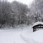Traditional Stone House In Kissos Pelion Dom wakacyjny *