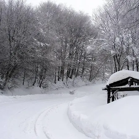 Traditional Stone House In Kissos Pelion Nyaraló *