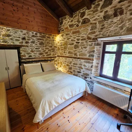 Traditional Stone House In Kissos Pelion 別荘 キソス