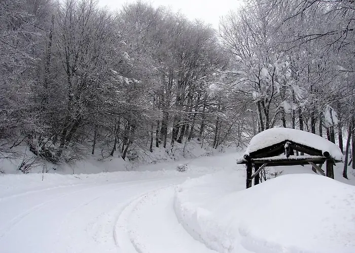 Traditional Stone House In Kissos Pelion Case de vacanță *